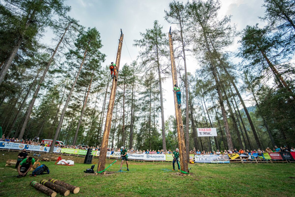 Festa del Boscaiolo e delle Foreste 2024_3